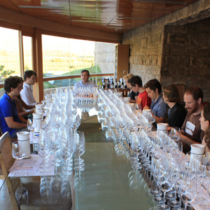 montesalphadegustation