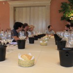 Formation œnologie professionnelle - DLC